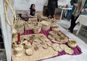 جشنواره توانمندی های زنان روستایی در �