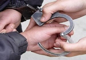 دستگیری برخی از عوامل سرقت در شهرهای استان