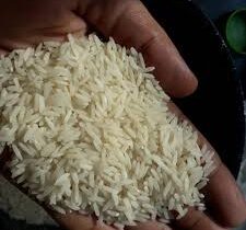 وزارت جهادکشاورزی وارد فرآیند بازار خرید برنج می‌شود