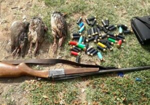 ۳۲شکارچی غیرمجاز در مازندران به دام افتادند/شکار ۱۸قطعه پرنده
