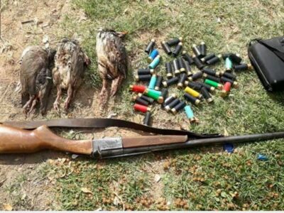 ۳۲شکارچی غیرمجاز در مازندران به دام افتادند/شکار ۱۸قطعه پرنده