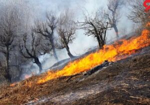 هشدار آتش‌سوزی در عرصه‌های جنگلی و مرتعی مازندران