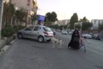 پرسه بیماری در دل خیابان‌های استان