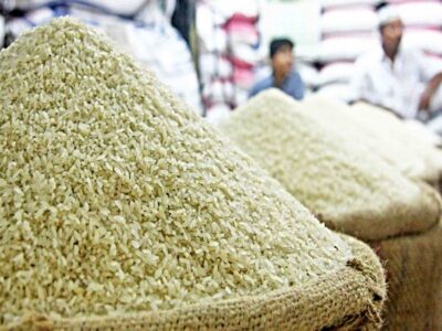  قرارداد تحویل 13هزار و 500 تن برنج پرمحصول در مازندران بسته شد