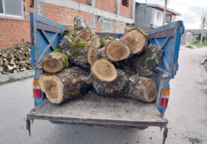 کشف و ضبط چوب جنگلی قاچاق در شهرستان میاندورود