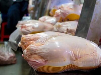 توزیع 59 تن مرغ تنظیم بازاری در ساری