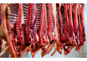 تولید بیش از ۶هزارتن گوشت قرمز در سال