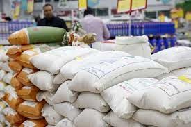 واردات برنج در فصل برداشت محصول به کشاورزان ضربه می زند