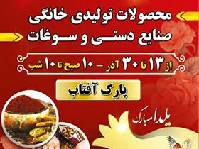 نمایشگاه صنایع‌دستی و سوغات در پارک آفتاب ساری دایر است/فیلم