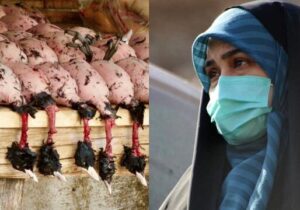 پلیس اماکن و محیط زیست مازندران با رستوران‌های سروکننده پرندگان مهاجر برخورد کند