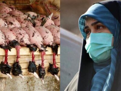 پلیس اماکن و محیط زیست مازندران با رستوران‌های سروکننده پرندگان مهاجر برخورد کند