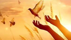 پادرمیانی آیتالله معلمی برای بخشش معلم قائمشهری