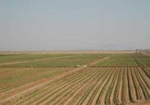فیلم /کمبود آب برای مصارف شهرستان ساری/به سمت کشاورزی اصولی حرکت می‌کنیم