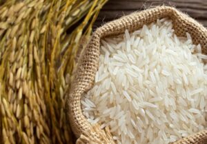 نشانی مراکز خرید برنج در مازندران اعلام شد/انجمن تامین برنج ایران تنها از کشاورزان خریداری می‌کند