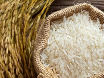 نشانی مراکز خرید برنج در مازندران اعلام شد/انجمن تامین برنج ایران تنها از کشاورزان خریداری می‌کند