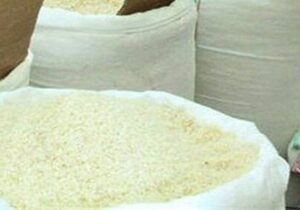 خریداری 28 هزار تن برنج کشاورزان مازندران از نیمه دوم اردیبهشت تاکنون