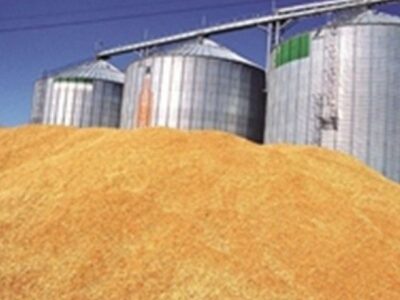 ذخیره بیش از 170 هزارتن گندم در استان مازندران با استفاده از ظرفیت حمل ریلی