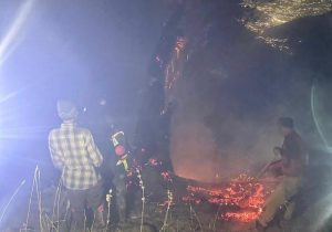 مصدوم شدن یک نیروی همیار طبیعت در آتش سوزی جنگل‌ گورت کلاردشت