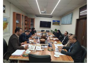 تشکیل کمیته مشترک گردشگری سلامت در استان
