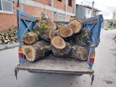 کشف و ضبط چوب جنگلی قاچاق در شهرستان میاندورود