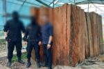 قاچاقچیان چوب در دام مأموران یگان حفاظت منابع طبیعی