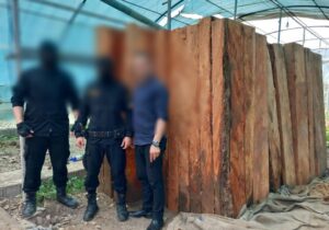 قاچاقچیان چوب در دام مأموران یگان حفاظت منابع طبیعی