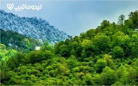 پیشبینی وضع هوای استان مازندران/از افزایش تا کاهش دما و بارندگی در هفته آینده