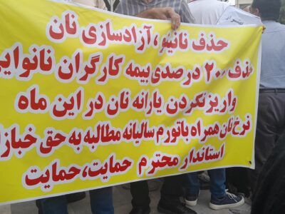 نانوایی داران مطالبات خود را مطرح کردند