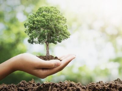 5هزار نهال در روز طبیعت غرس می شود